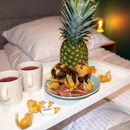 Premium 4 Appartamento Danzica